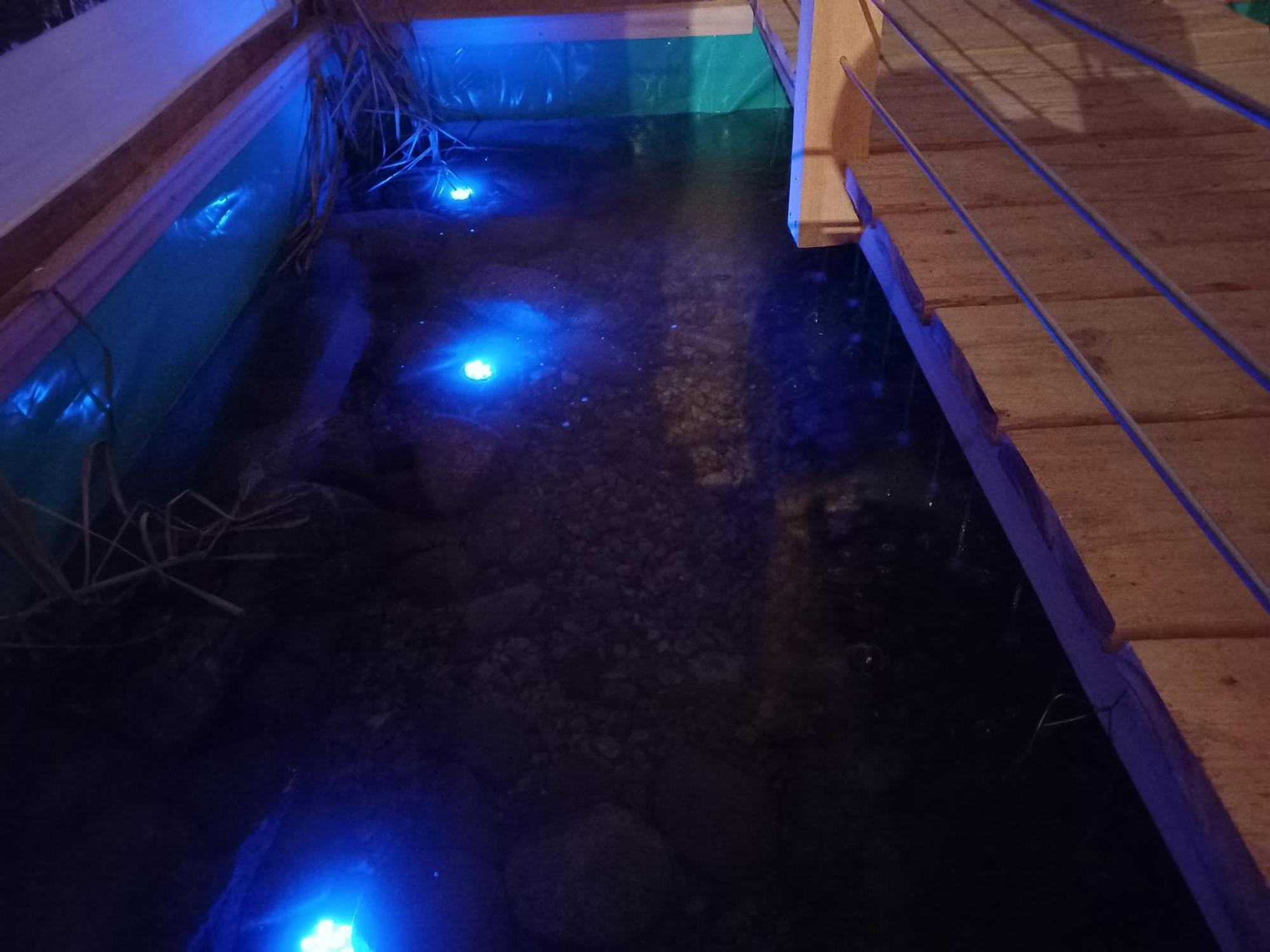 Dom Piotra Apartman Goniadz Kültér fotó
